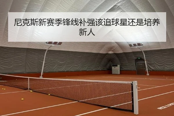 尼克斯新赛季锋线补强该追球星还是培养新人