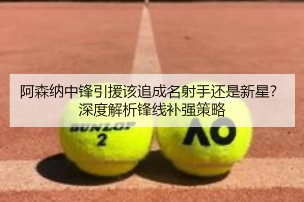 阿森纳中锋引援该追成名射手还是新星？深度解析锋线补强策略